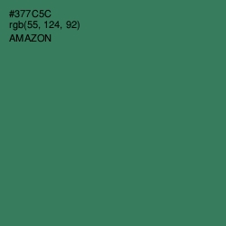 #377C5C - Amazon Color Image