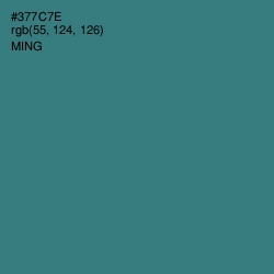 #377C7E - Ming Color Image