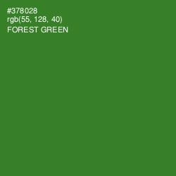 #378028 - Forest Green Color Image