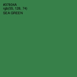 #37804A - Sea Green Color Image