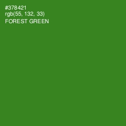 #378421 - Forest Green Color Image