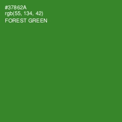 #37862A - Forest Green Color Image