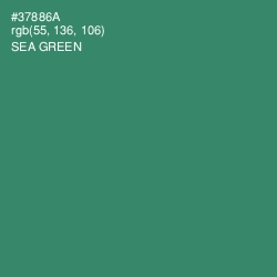 #37886A - Sea Green Color Image