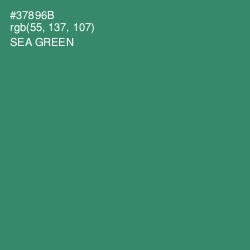 #37896B - Sea Green Color Image