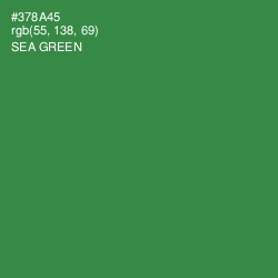 #378A45 - Sea Green Color Image