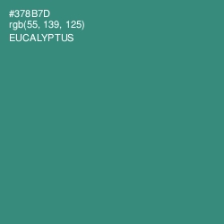 #378B7D - Eucalyptus Color Image