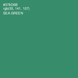 #378D6B - Sea Green Color Image