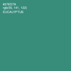 #378D7A - Eucalyptus Color Image