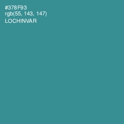 #378F93 - Lochinvar Color Image