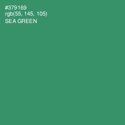 #379169 - Sea Green Color Image