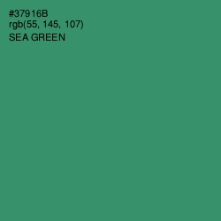 #37916B - Sea Green Color Image