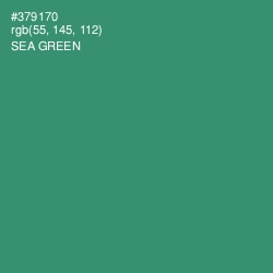 #379170 - Sea Green Color Image