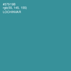 #37919B - Lochinvar Color Image
