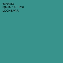 #37938C - Lochinvar Color Image