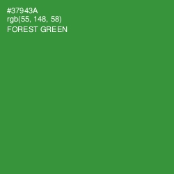 #37943A - Forest Green Color Image