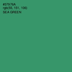 #37976A - Sea Green Color Image