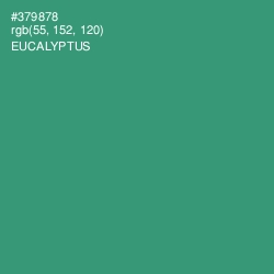 #379878 - Eucalyptus Color Image