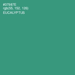#37987E - Eucalyptus Color Image