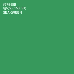 #37995B - Sea Green Color Image