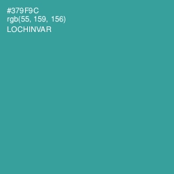 #379F9C - Lochinvar Color Image