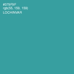 #379F9F - Lochinvar Color Image