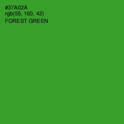 #37A02A - Forest Green Color Image