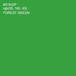 #37A03F - Forest Green Color Image