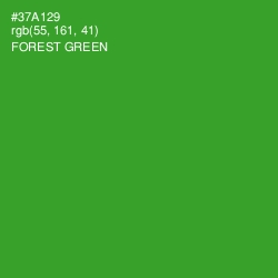 #37A129 - Forest Green Color Image