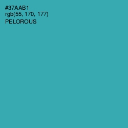#37AAB1 - Pelorous Color Image
