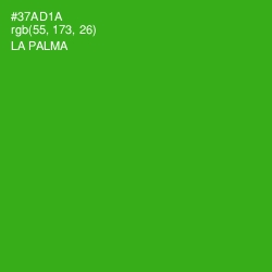 #37AD1A - La Palma Color Image