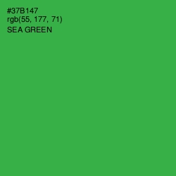 #37B147 - Sea Green Color Image