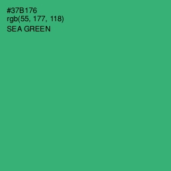 #37B176 - Sea Green Color Image