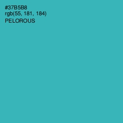 #37B5B8 - Pelorous Color Image