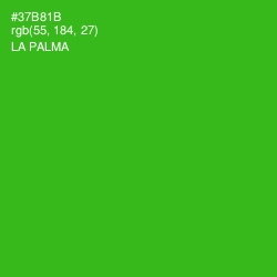 #37B81B - La Palma Color Image