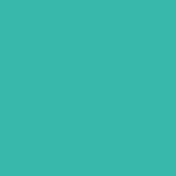 #37B8AA - Pelorous Color Image