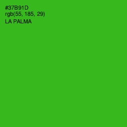 #37B91D - La Palma Color Image