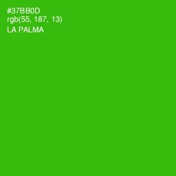 #37BB0D - La Palma Color Image