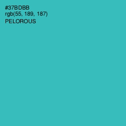 #37BDBB - Pelorous Color Image