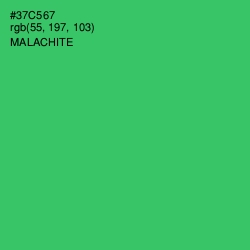 #37C567 - Malachite Color Image