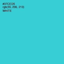 #37CED5 - Turquoise Color Image