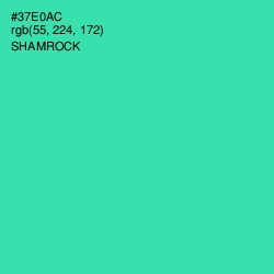 #37E0AC - Shamrock Color Image