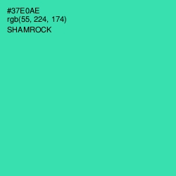 #37E0AE - Shamrock Color Image