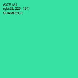 #37E1A4 - Shamrock Color Image