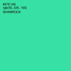 #37E1A5 - Shamrock Color Image