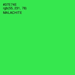 #37E74E - Malachite Color Image