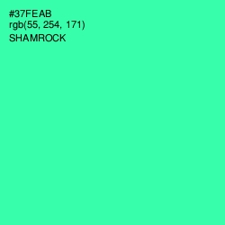 #37FEAB - Shamrock Color Image