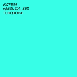 #37FEE6 - Turquoise Color Image