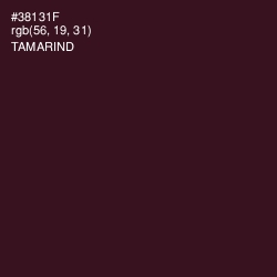 #38131F - Tamarind Color Image