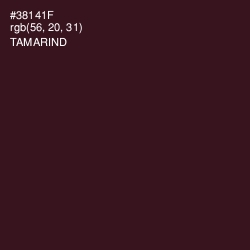 #38141F - Tamarind Color Image