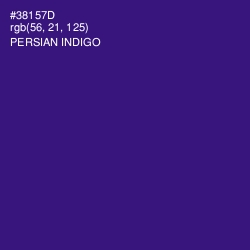 #38157D - Persian Indigo Color Image